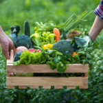 A imagem atual não possui texto alternativo. O nome do arquivo é: foto.jpg